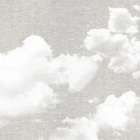 Cloud Mural